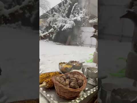 Kashmiri pink salt tea in snowfall #kashmir #kashmirinwinters