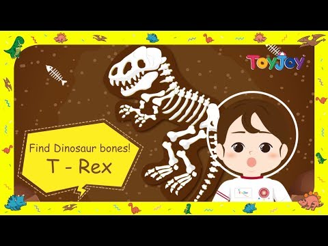 [토이조이] Find Dinosaur bones l T - Rex l ToyJoy