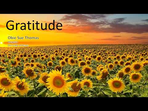 November 2023 Pause Moment: Gratitude