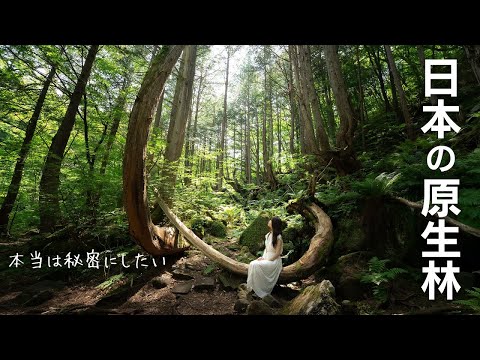 【長野県】癒しの蓼科の風景