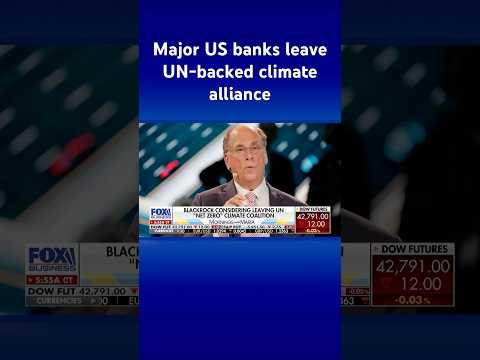 BlackRock eyes leaving UN ‘net-zero’ climate coalition #shorts