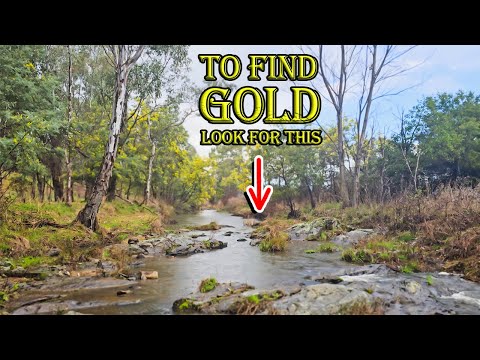 This is the No.1 Mistake Gold Prospectors Make | 4 Places You Should Pan For Gold