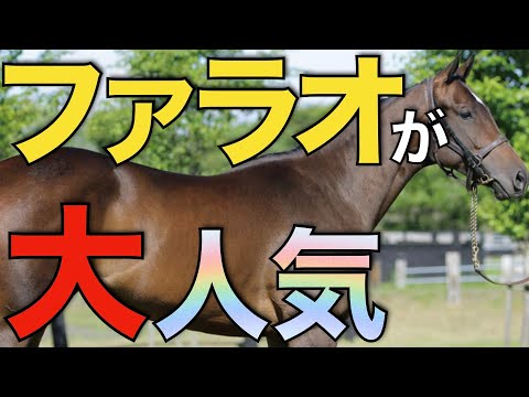 怪物種牡馬の後継がまたしても大人気！アロースタッドの種付け頭数が発表される。