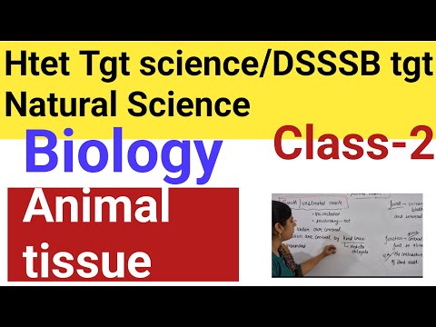 Animal tissue || Htet tgt science preparation/ dsssb tgt natural science preparation