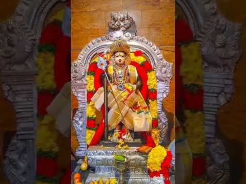 #murugan #arulvakku முருகன்அருள்வாக்கு சப்ஸ்கிரைப லைக் சேர், காமான்ட் #shortvideo #bhakti 🙏