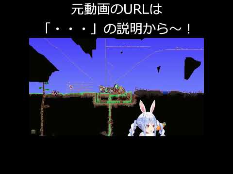 海賊一味にフルボッコされて舌打ち台パンが止まらないぺこーら【兎田ぺこら/ホロライブ切り抜き】 #shorts