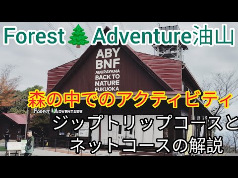 フォレストアドベンチャー 油山 福岡 博多　Forest Adventure　アクティビティ　ターザン　解説 小学生　山　森林　トレイル