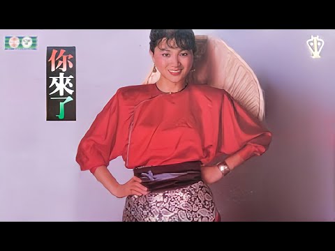 你來了 (國語/繁中字幕)【鳳飛飛】「你來了」專輯主題歌曲 (1982)〘edited〙& (mash-up) Music Video