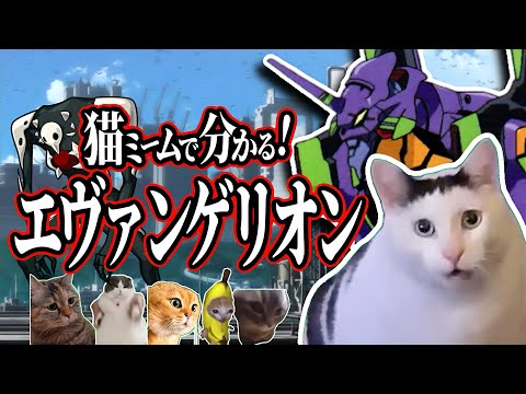 猫ミームでわかる！エヴァンゲリオン新劇場版【猫ミーム】