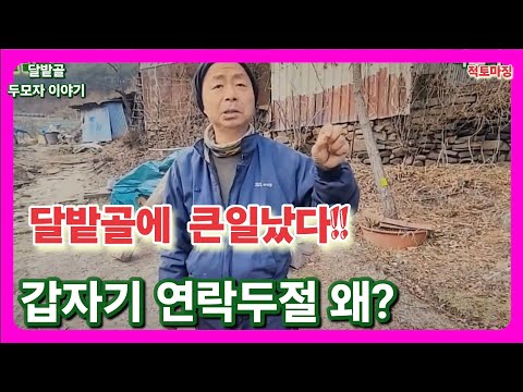 달밭골에 무슨일 생겼나 / 갑자기 연락두절~ 왜?