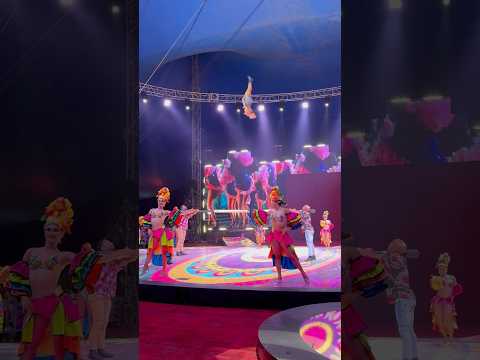 Backflip on a Moving Beam! 🤯🔥 | Garden Bros Circus x Conga Dance Show!