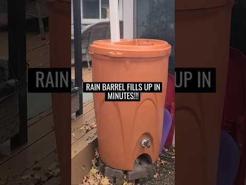 Why you need a RAIN BARREL!