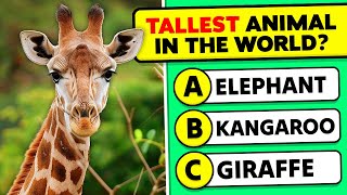 General Knowledge Questions About Animals! 🐘🧠🤯 Animals Knowledge Trivia Questions and Answers