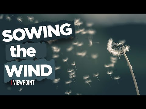 Sowing the wind: The Consequences Of Our Actions