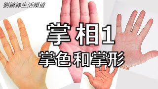 掌相  1 掌色和掌形 (開啟字幕)｜我手影我心｜劉鎮鋒生活頻道