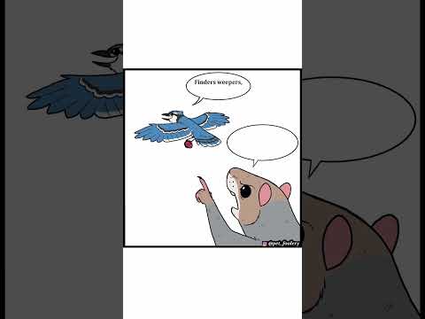 Pet Foolery: Yoink! (Comic Dub)