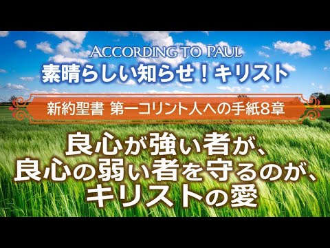 #11  第1コリント人への手紙8章「良心が強い者が、良心の弱い者を守るのが、キリストの愛」