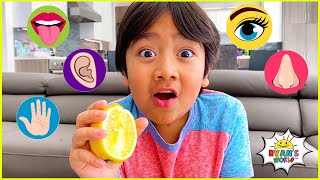 The Five Senses and more 1 hr kids educational learning video!