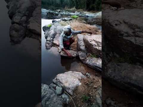 mam catching small fishes from the river #sad #struggle