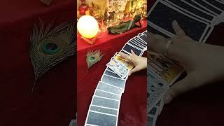 #freetarotreading#livetarotreading#tarot#tarotyoutube#tarotquestion#tarotreadingindia#tarothindi