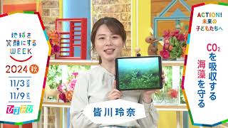 ［ひるおび］皆川玲奈アナウンサーの気になるSDGsは？「地球を笑顔にするWEEK」【TBS】 TBS系SDGsプロジェクト「地球を笑顔にするWEEK」第9弾！