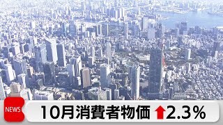 コメ過去最大の伸び率　10月の消費者物価指数は前年比↑2.3％　上昇幅は縮小