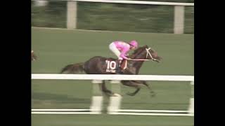 ライスシャワー 1992年 第40回京都新聞杯(GII) (優勝馬：ミホノブルボン)