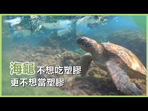 解開塑縛 小琉球環保｜慈濟充滿愛 20250110