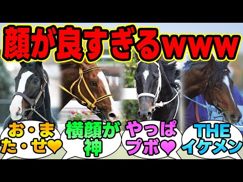 『みんなで決める「顔が良すぎるお馬」ステークス』に対する競馬民の反応集