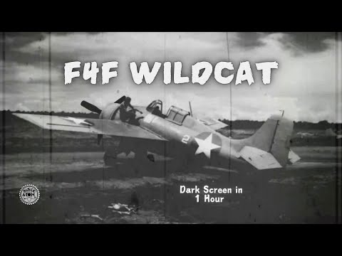 F4F Wildcat Idling ⨀ Vintage Aircraft Engine Sounds for Deep Sleep