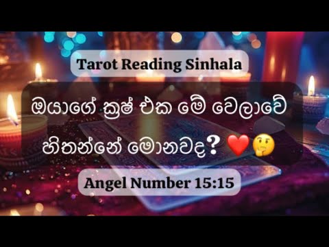 Your crush thoughts and feelings 🧏❤️😇🥀 Tarot Reading Sinhala  #tarot #pickacard #timelessreading