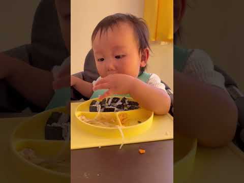 １歳がただただ食べる動画