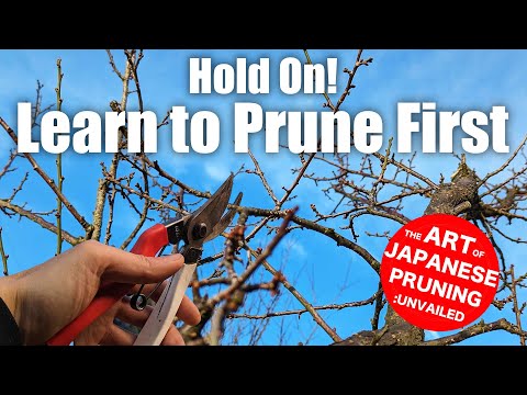 Essential Pruning Skills: Pro Secrets for the Ultimate Harvest【for All fruits trees】