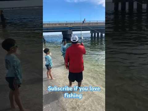 sub for more fishing!! #fishing #subscribe #ladyfish #saltwater #florida #fyp