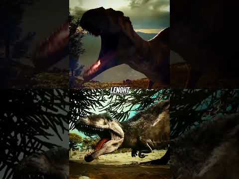 Carcharodontosaurus Saharicus vs Giganotosaurus Carolinii | M.REX Battle #giganotossaurus