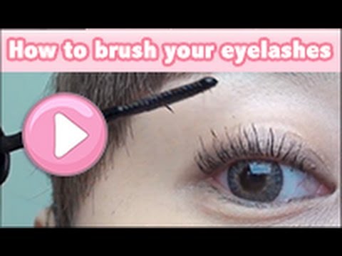 how to brush your own eyelashes to get the false  eyelashes effect