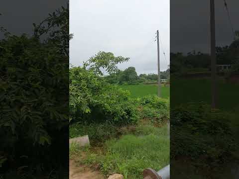 village salora ropar punjab