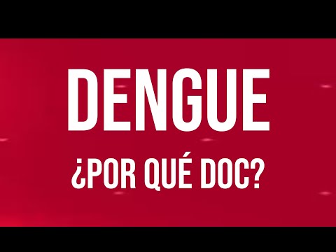 ¿DENGUE, por qué Doc? parte 1: importante prevenir en invierno