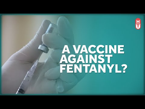 A Fentanyl Vaccine Shows Promise