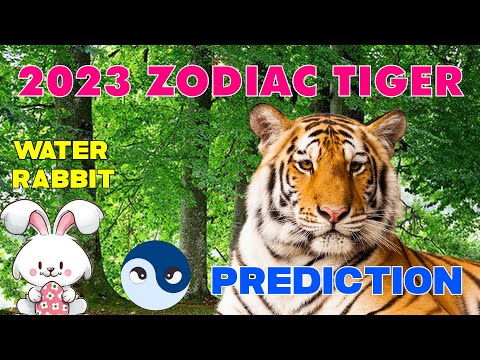 【Master Tsai】Tiger Horoscope 2023 - Year of the Rabbit - Five Elements 【Short】