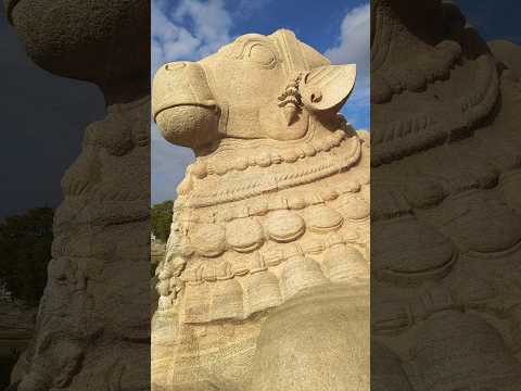 one of the largest of its type in the world Nandi (bull), mount of Shiva #single block of stone