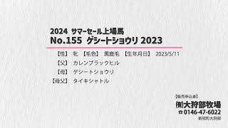 【サマーセール2024】No.155 ゲシートショウリ2023