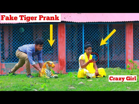 Fake Tiger Prank on Crazy Girl | So Funny Videos | Prank video | ComicaL TV