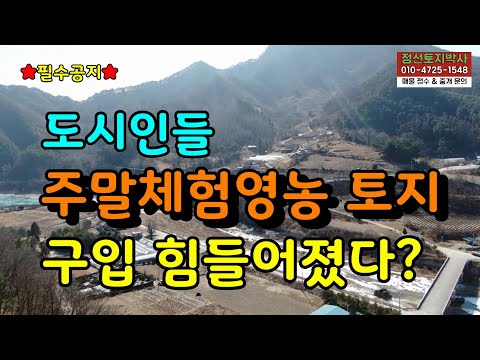 ★필수공지★도시인들 주말체험영농 토지 구입 힘들어졌다? / 정선토지박사