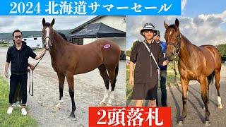 サマーセールで1歳馬を買いました【2024年北海道】