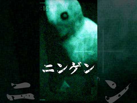 『南極のニンゲン』に関する都市伝説　　#都市伝説 #uma #未確認生命体