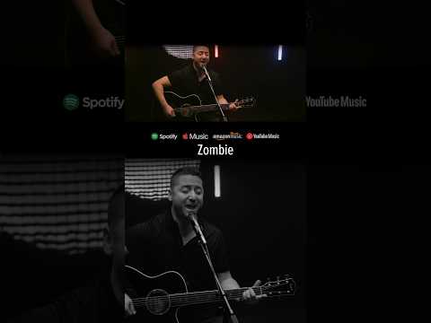 Zombie - The Cranberries (Boyce Avenue acoustic cover) #shorts #singingcover #ballad