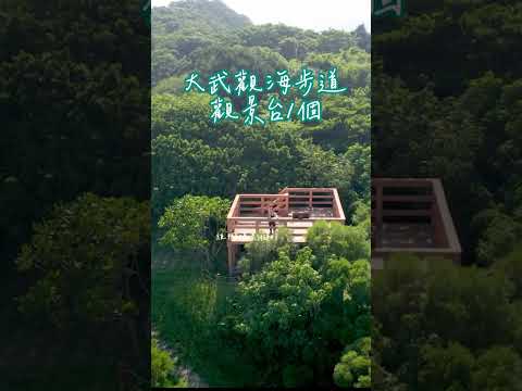 大武國家森林步道 #旅行