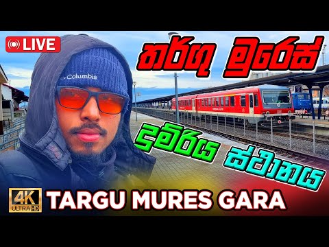 Târgu Mureș train station live 🚉 රුමේනියාවේ තර්ගු මුරෙස් දුම්රිය ස්ථානය 🇷🇴