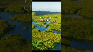 PARADISE ON EARTH🦜🐦🐒Places on earth that feels unreal | El condor pasa #shorts #explore #travel